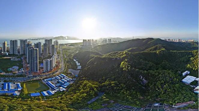 珠海北围泰盈,泰盈珠海