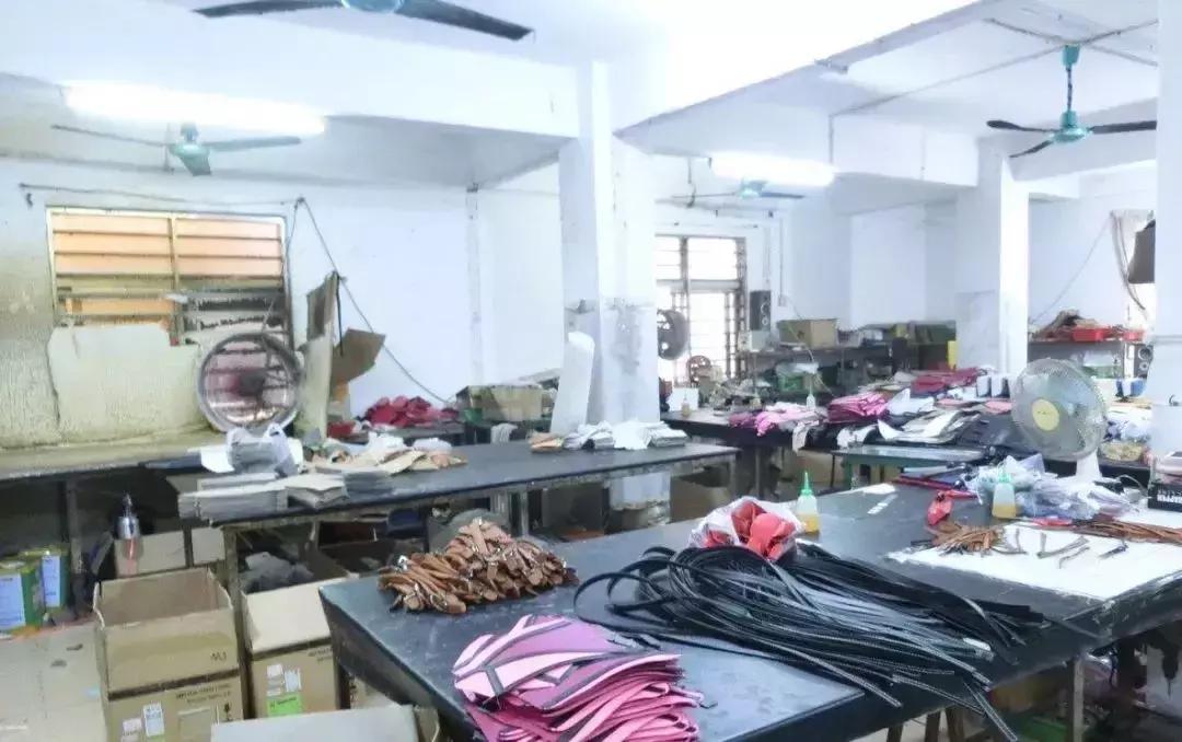 净网2021正规吗,净网2021靠谱吗