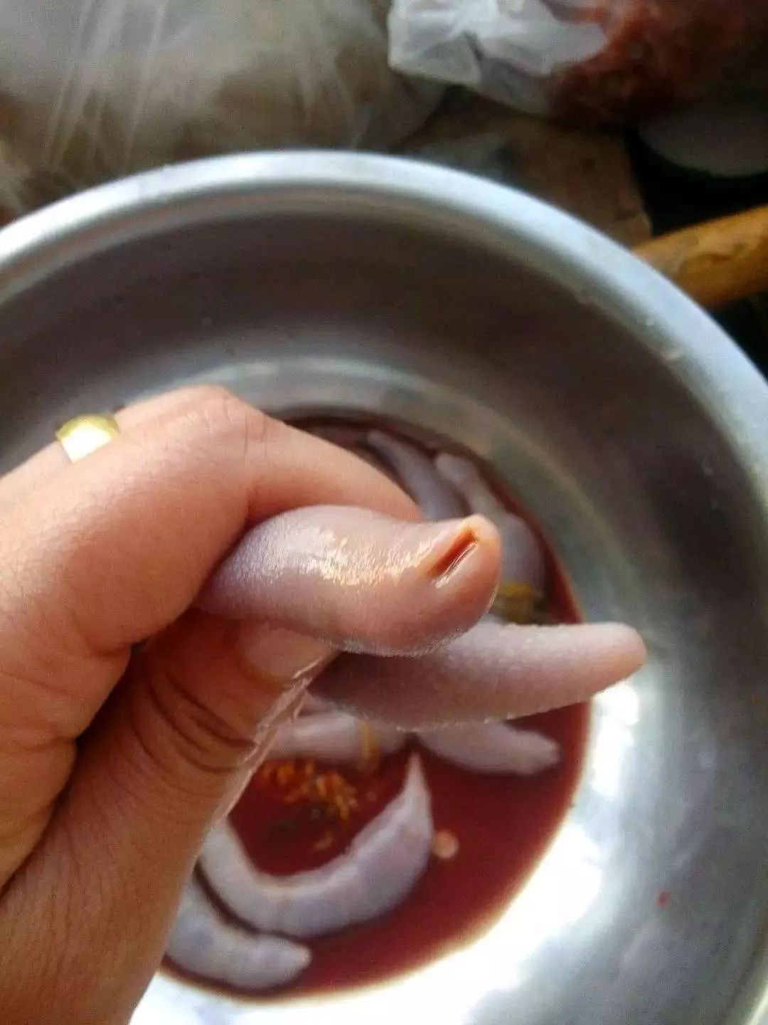 海肠海虹,海虹鲍鱼和海肠