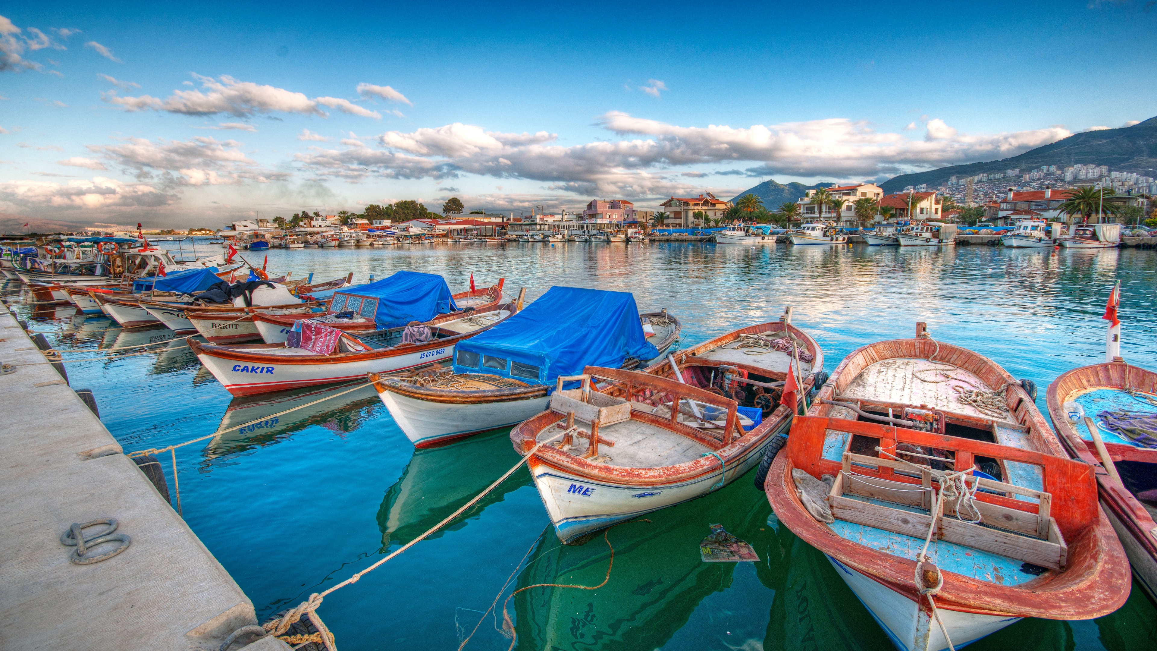 4k动物正脸壁纸高清版霸气,苹果12壁纸超清4k全屏动物