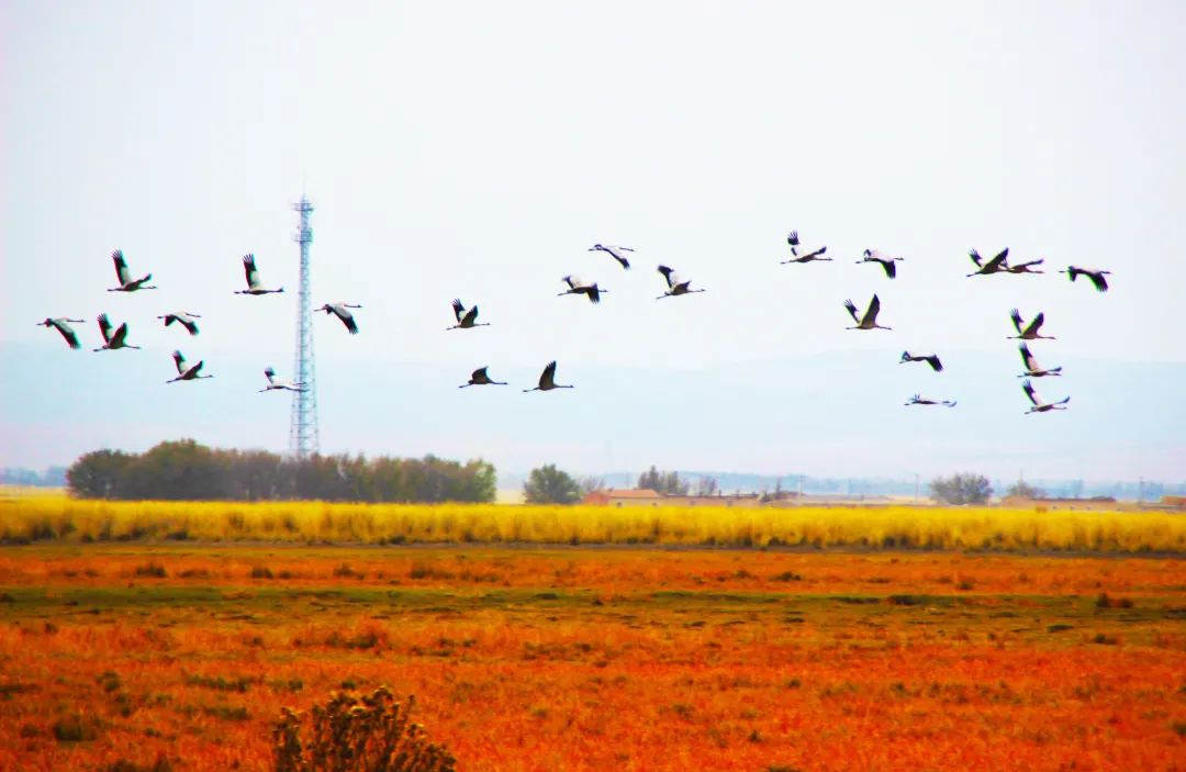 生活在乌鲁木齐的感觉,在新疆塔城的感受