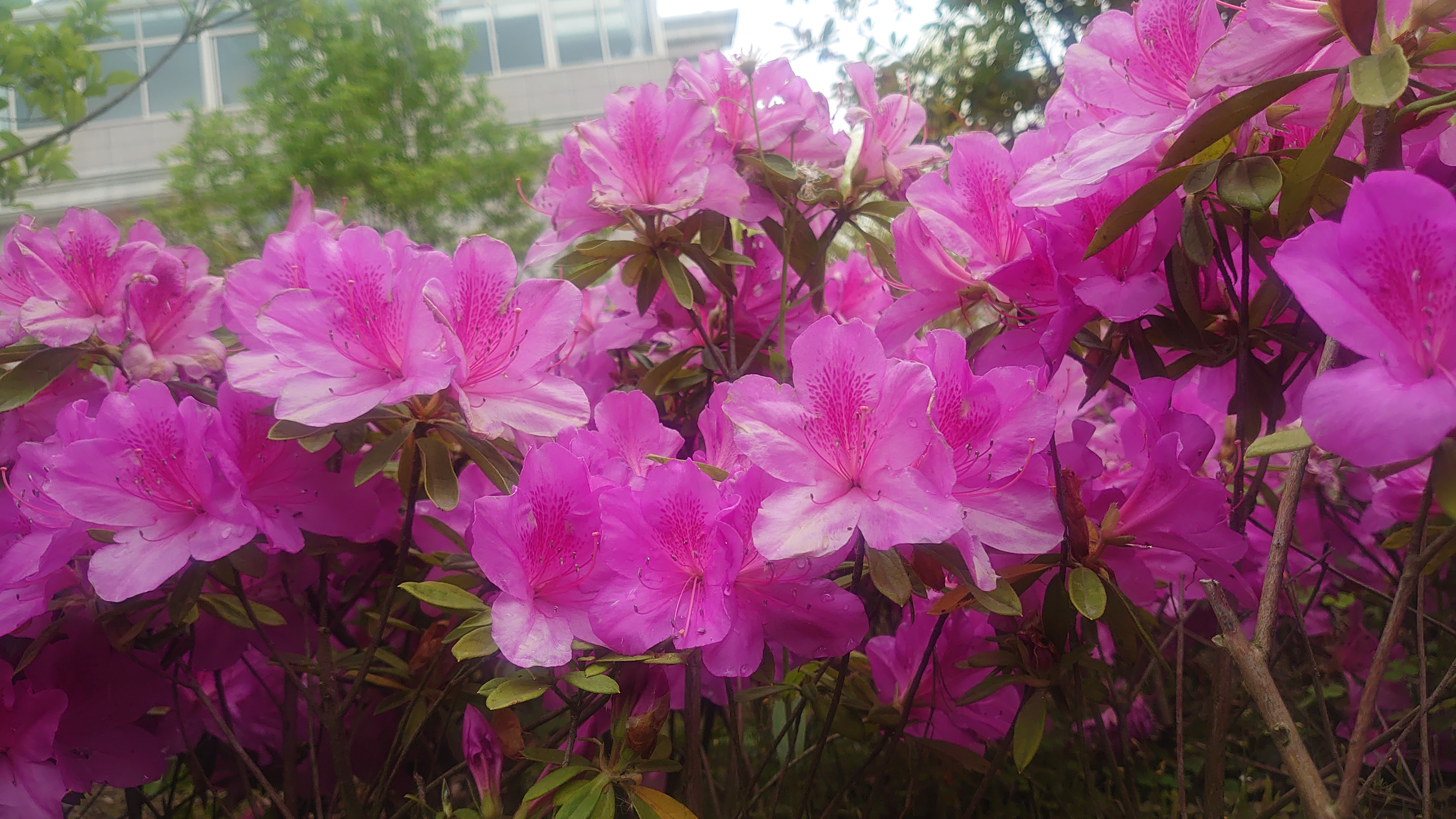 索尼微单手机xperia5i,索尼xperia5ii深度评测