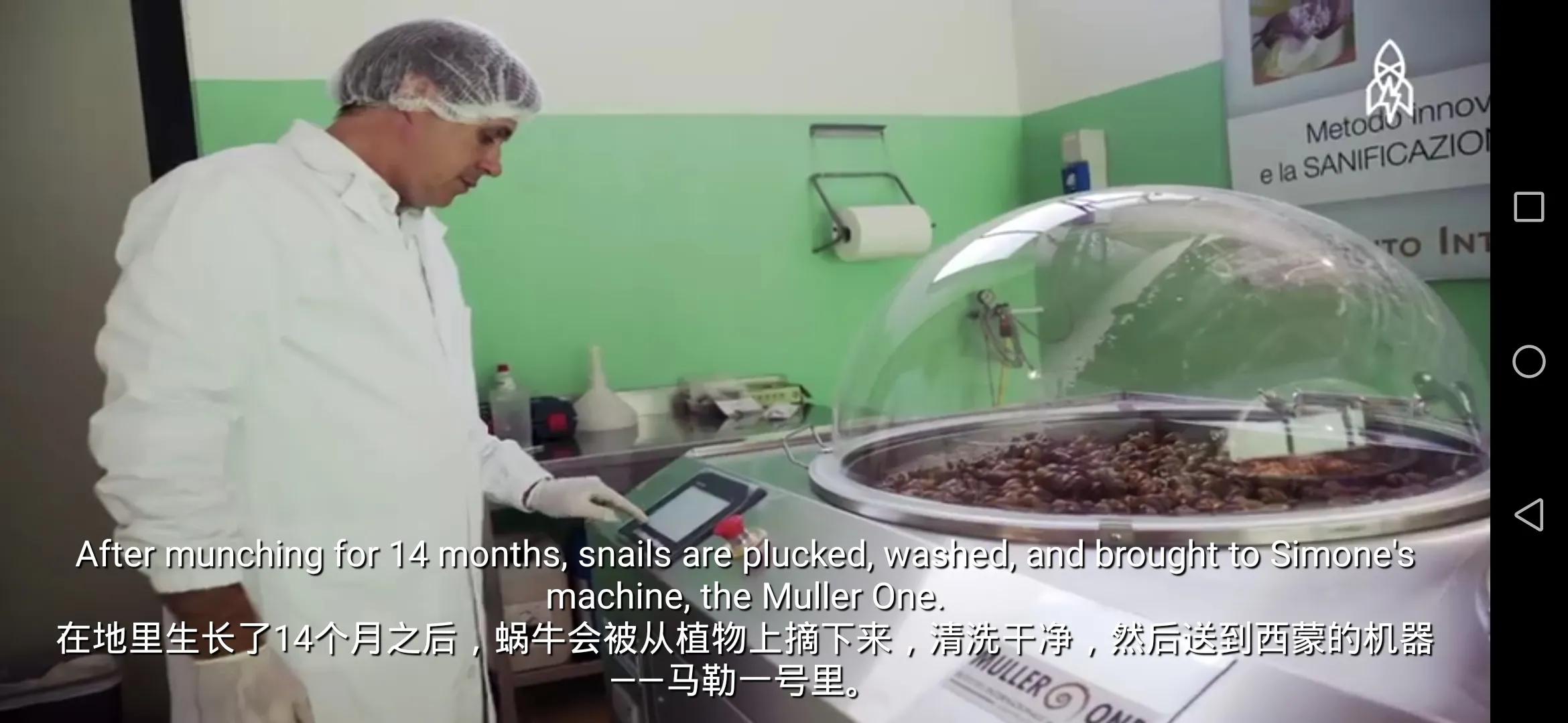 蜗牛护肤品是不是纯植物的,蜗牛的护肤品怎么这么便宜