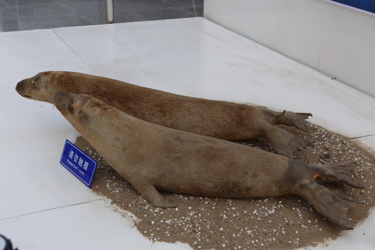 长春农博会游玩攻略,过年看农博会