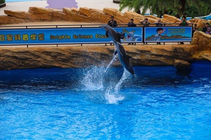 玩转珠海酒店,玩转珠海长隆全攻略