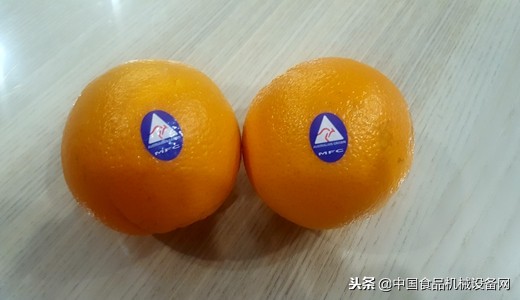 买橙子一定要挑公的,买橙子挑软的还是硬的