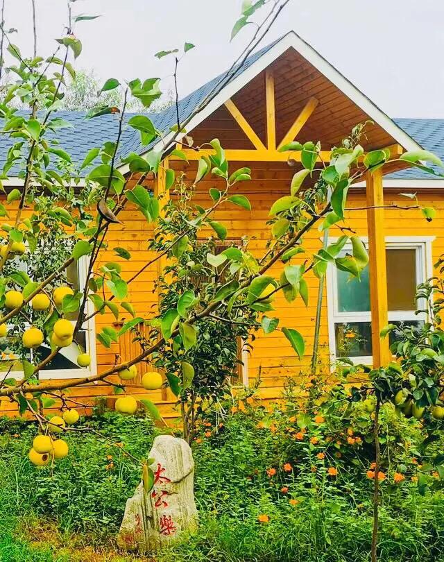 师大附中骄傲,师大附中80周年校庆