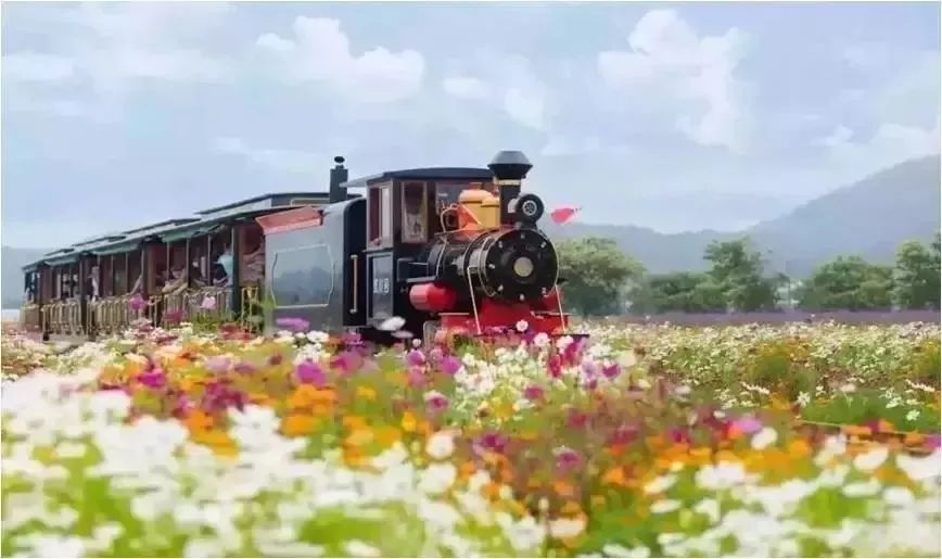 短、平、快、爆！那些蹿红网络的景区二消业态大汇总