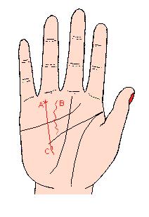 手相解密,手相掌纹分析学