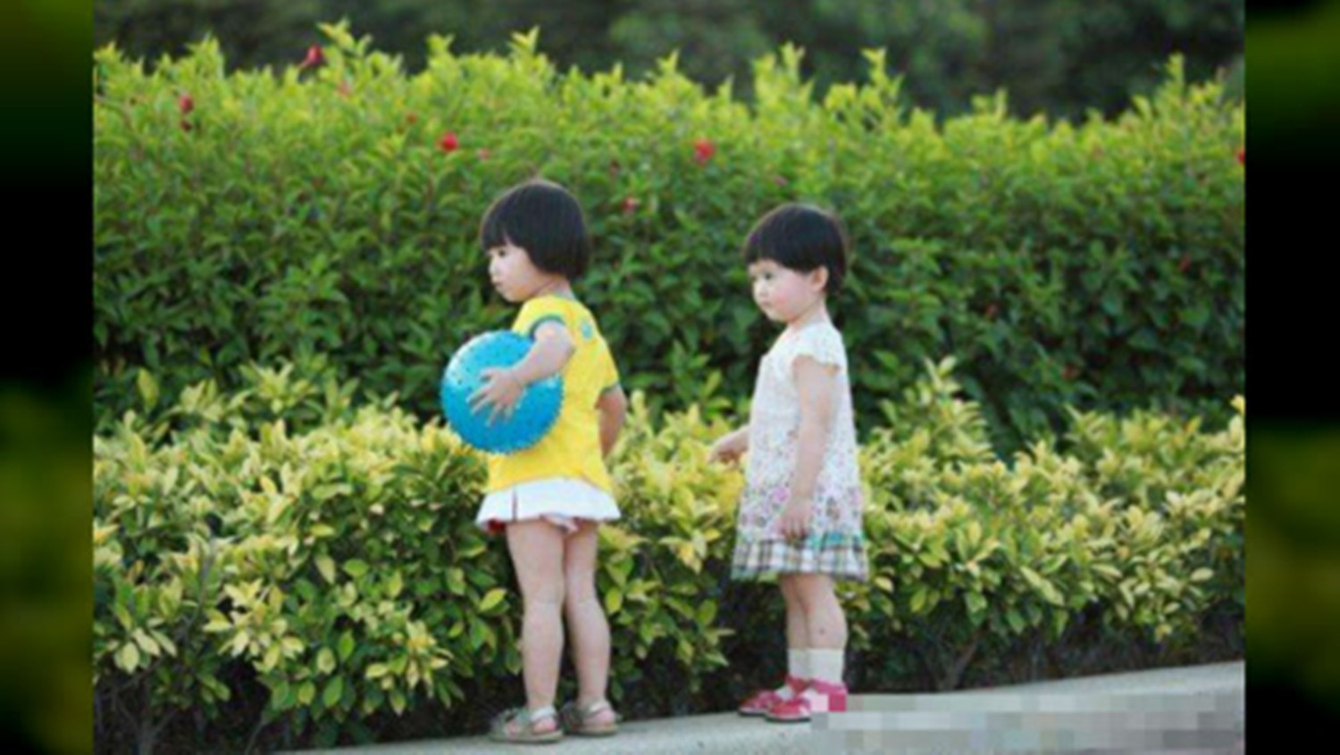 2岁宝宝抢东西怎样引导,被抢玩具的小孩该如何引导