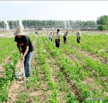 朋友，你对以前农村的庄稼把式，还熟悉多少？