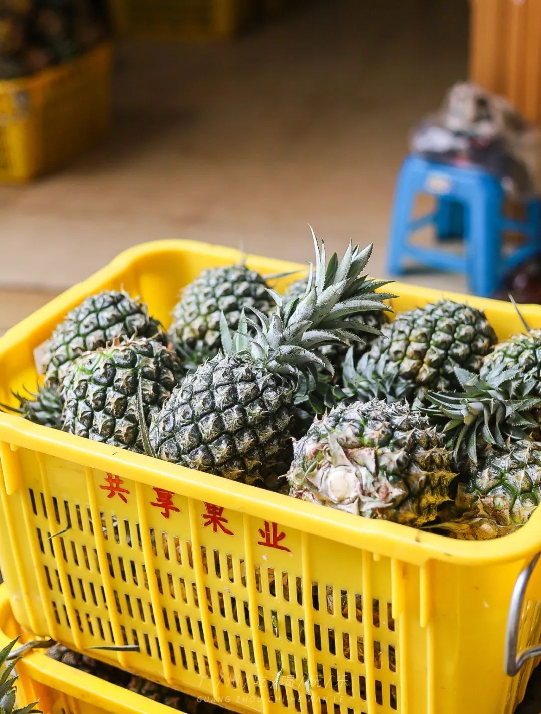 地铁坐到水果市场附近,广州天平架水果市场