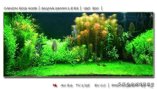 18公分宽墙厚的草缸,1米5的草缸需要多大的灯