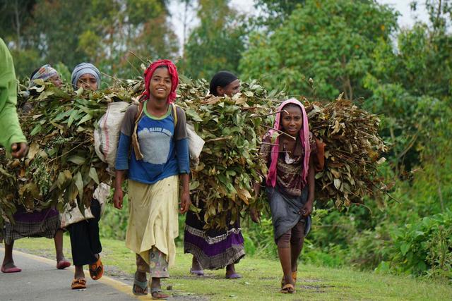 走进非洲：不要带着有色眼镜去看非洲，去之前你需要知道的那些事