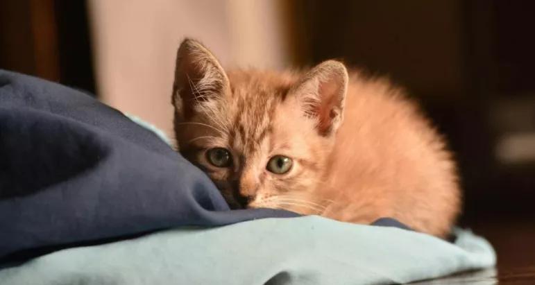 友情终成遗憾,友情和爱情的尽头