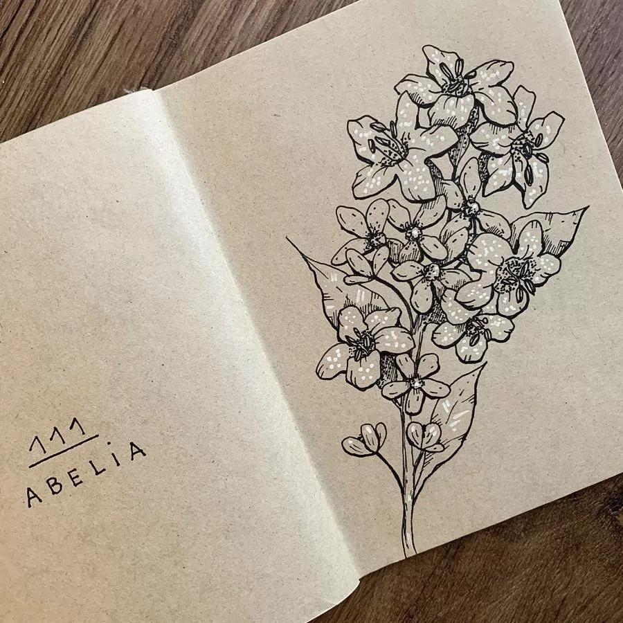 一看就懂的针管简笔画,针管笔入门手绘1000例临摹图