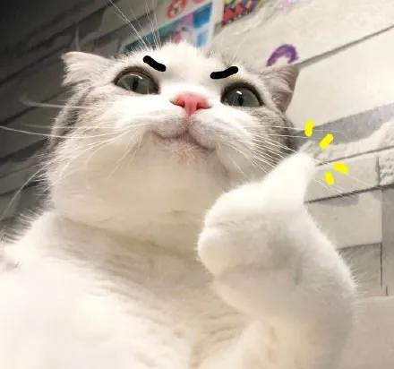 这几款国货强品值得推荐,6款良心国货