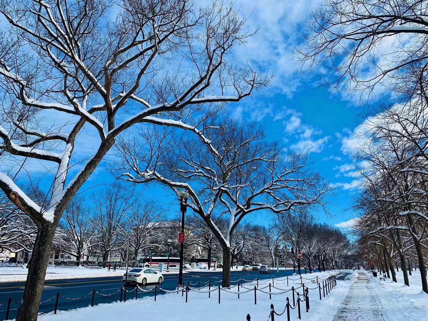 康涅狄格大学拿过ncaa冠军吗,康涅狄格大学国内认可度怎么样