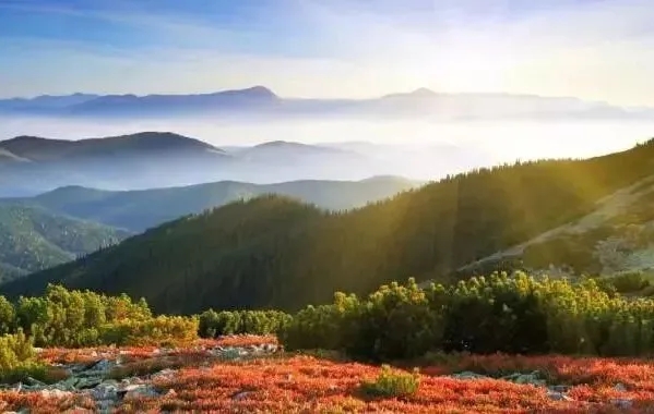 过寿送什么礼物给老人,送老人礼物前十件排名