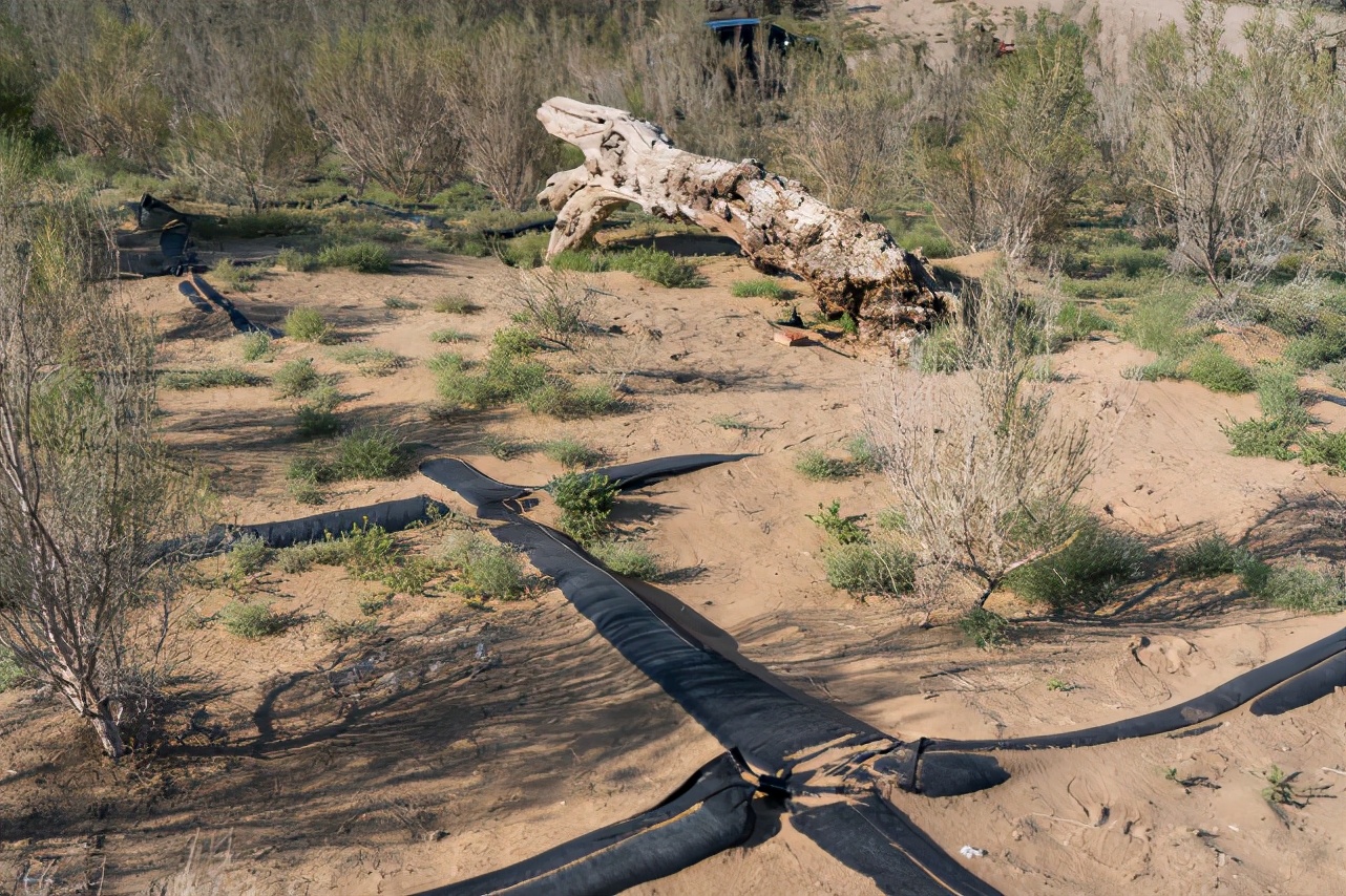 中国八大沙漠治理现状卫星地图,罗布泊沙漠现状