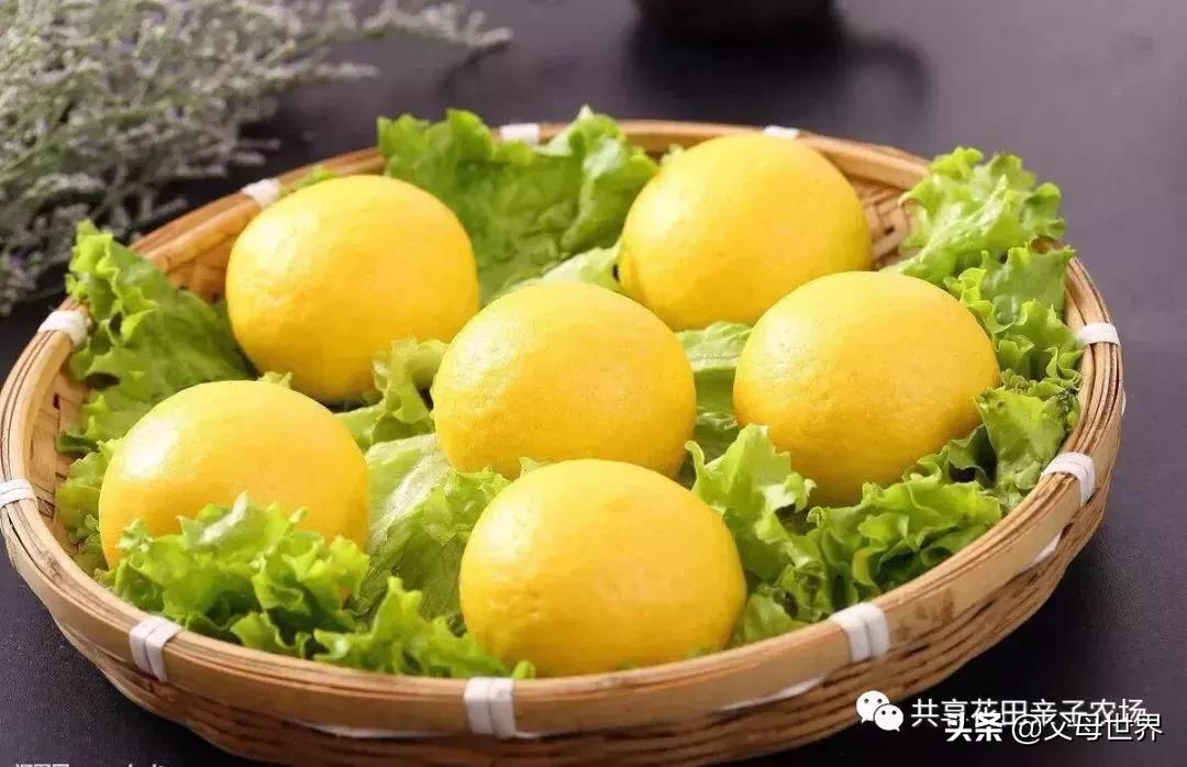 国内不太偏的亲子小众旅游 (全球最适合亲子游的十大旅游胜地)