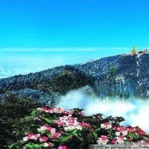 世界上最顶级的思维：资本思维