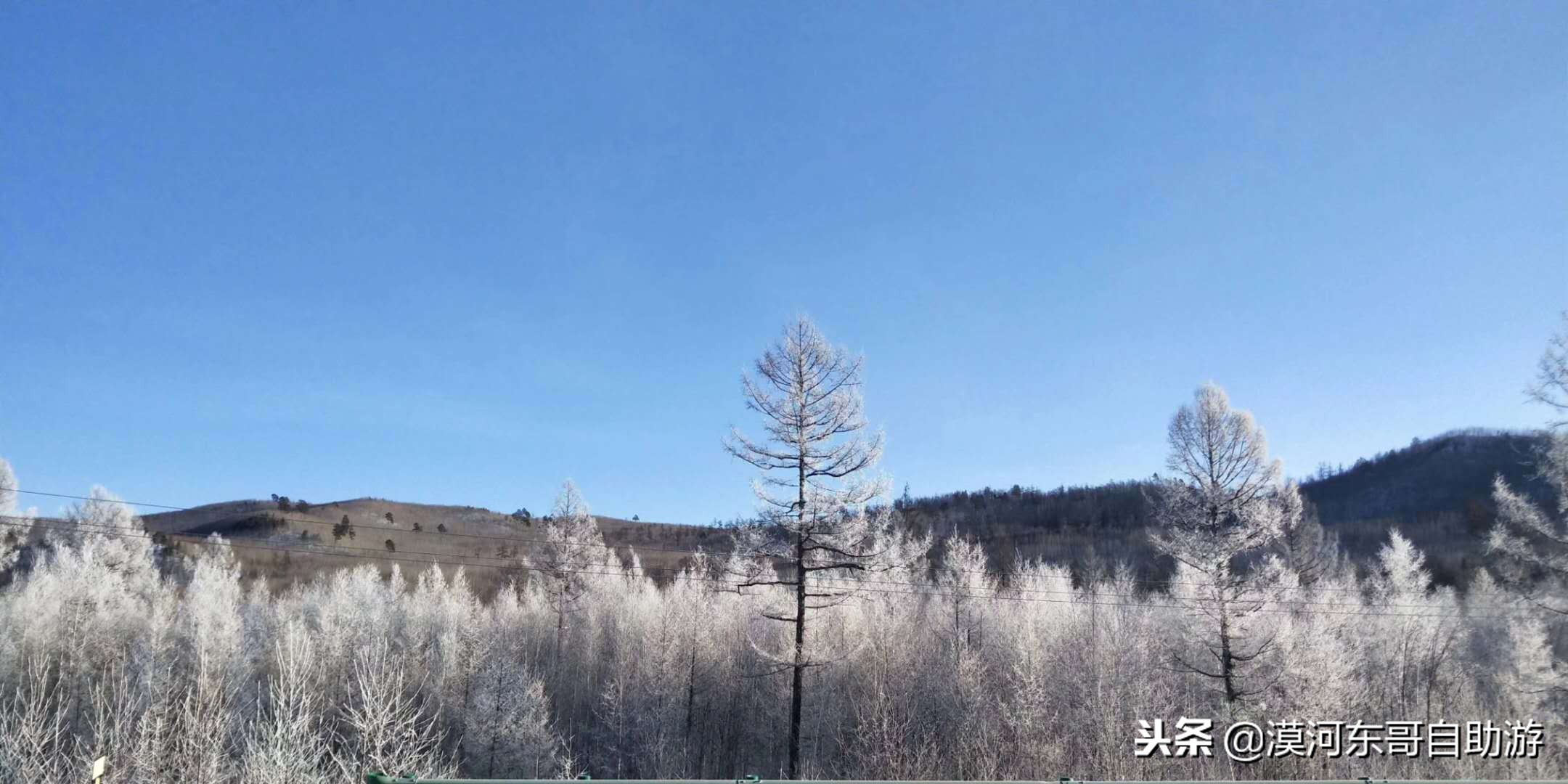 漠河极寒之旅,漠河遇到熊