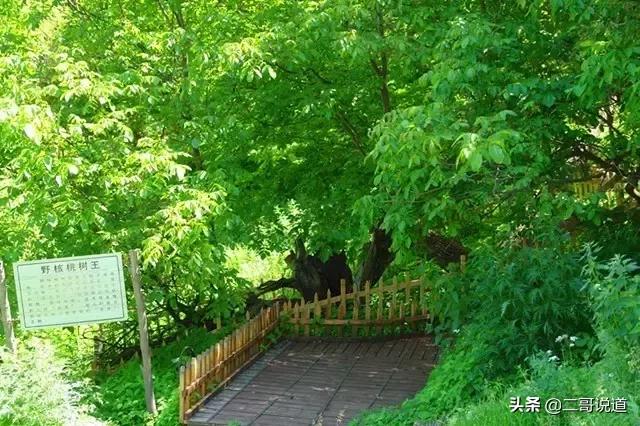 全新疆旅游景点有哪些,新疆带沟的旅游景点