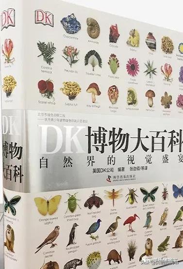 如果要推荐一本书要怎么推荐才好,如果一定要看一本书应该看什么书