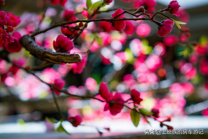 打卡溧阳天目湖御水温泉,天目湖常州溧阳御水温泉
