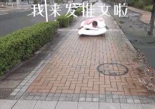 深挖吉大慧谷新校长“底细”！看看要把慧谷打造成什么样的学校？