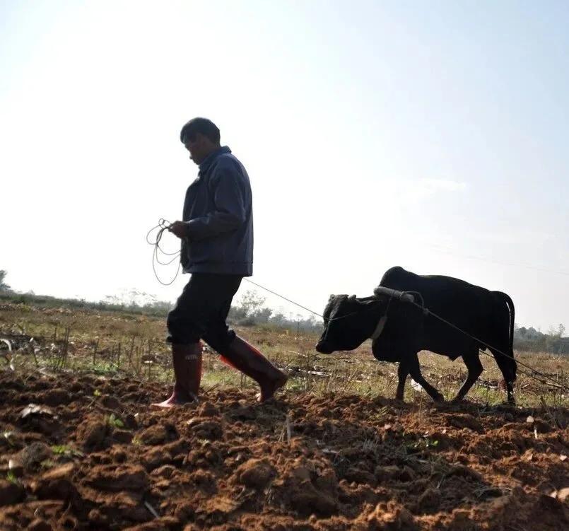 俗世奇人张金币,俗世奇人钱二爷