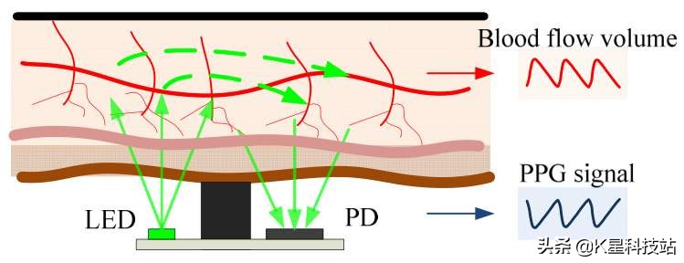 oppo手环活力版睡眠监测准确吗,oppo手环可以检测哪些健康数据