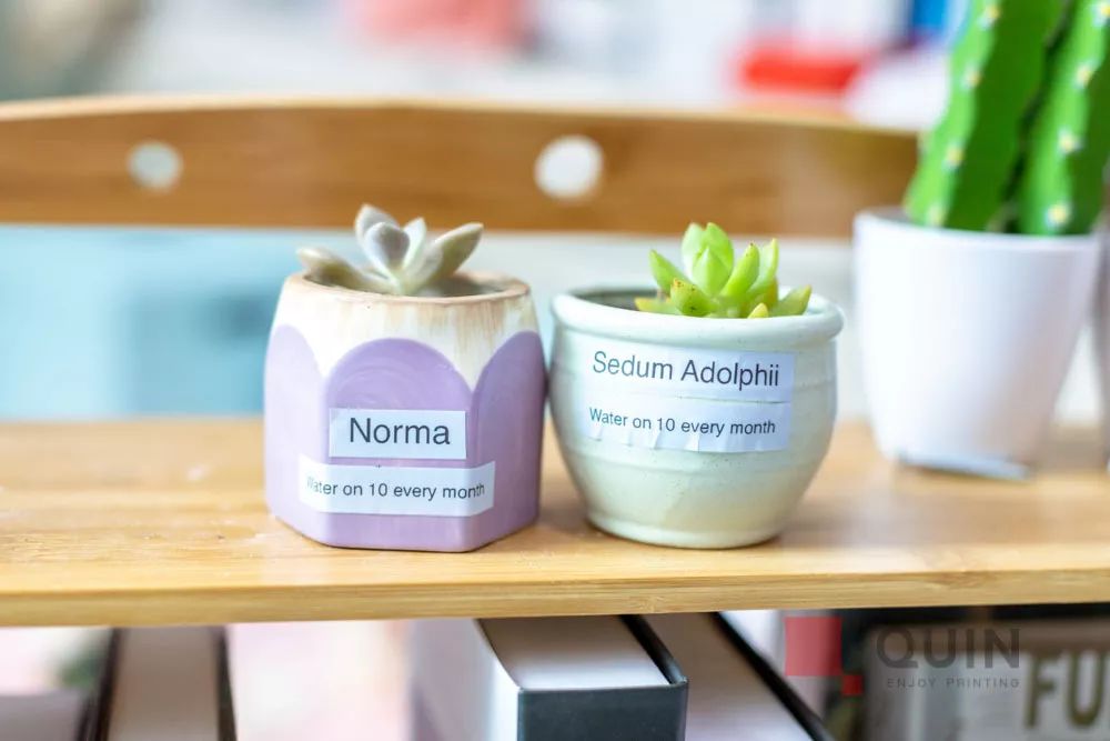 双十二攻略｜你在抢半价，TA在升级更好的生活