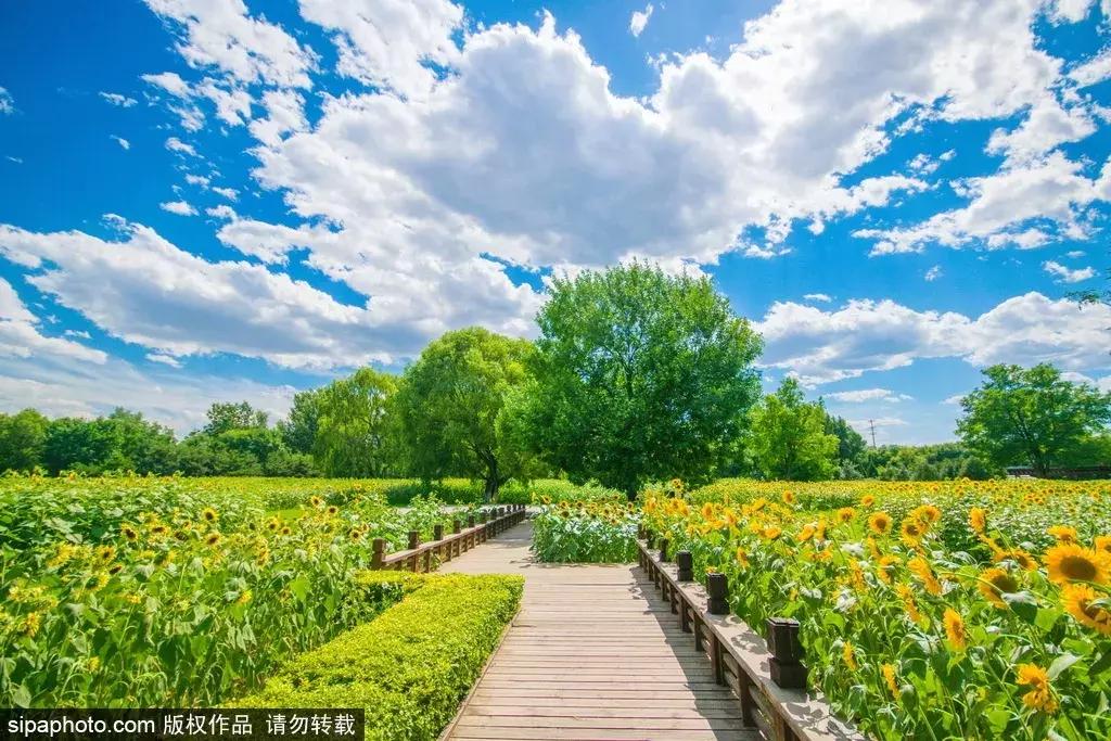 适合旅游的免费景点北京,推荐北京假期游玩的地方