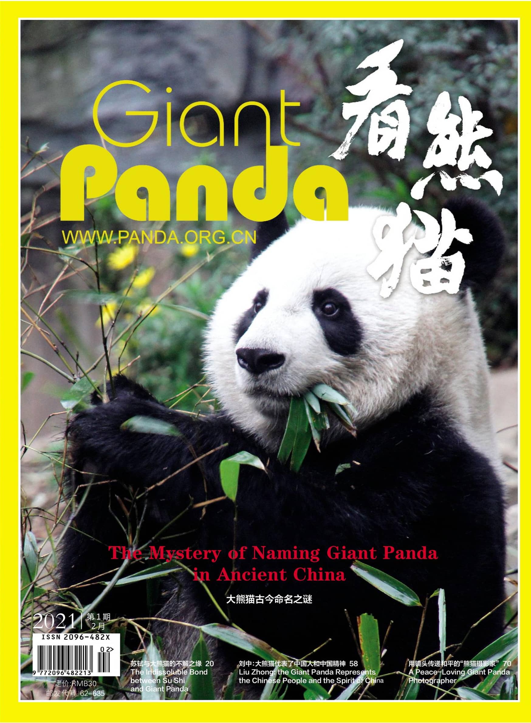 大自然的神奇朱鹮,国宝朱鹮让世界瞩目的东方宝石