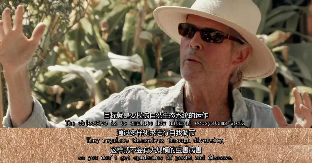 豆瓣9.3分这对夫妻打造1200亩生态农场，“堪称美版「李子柒」”