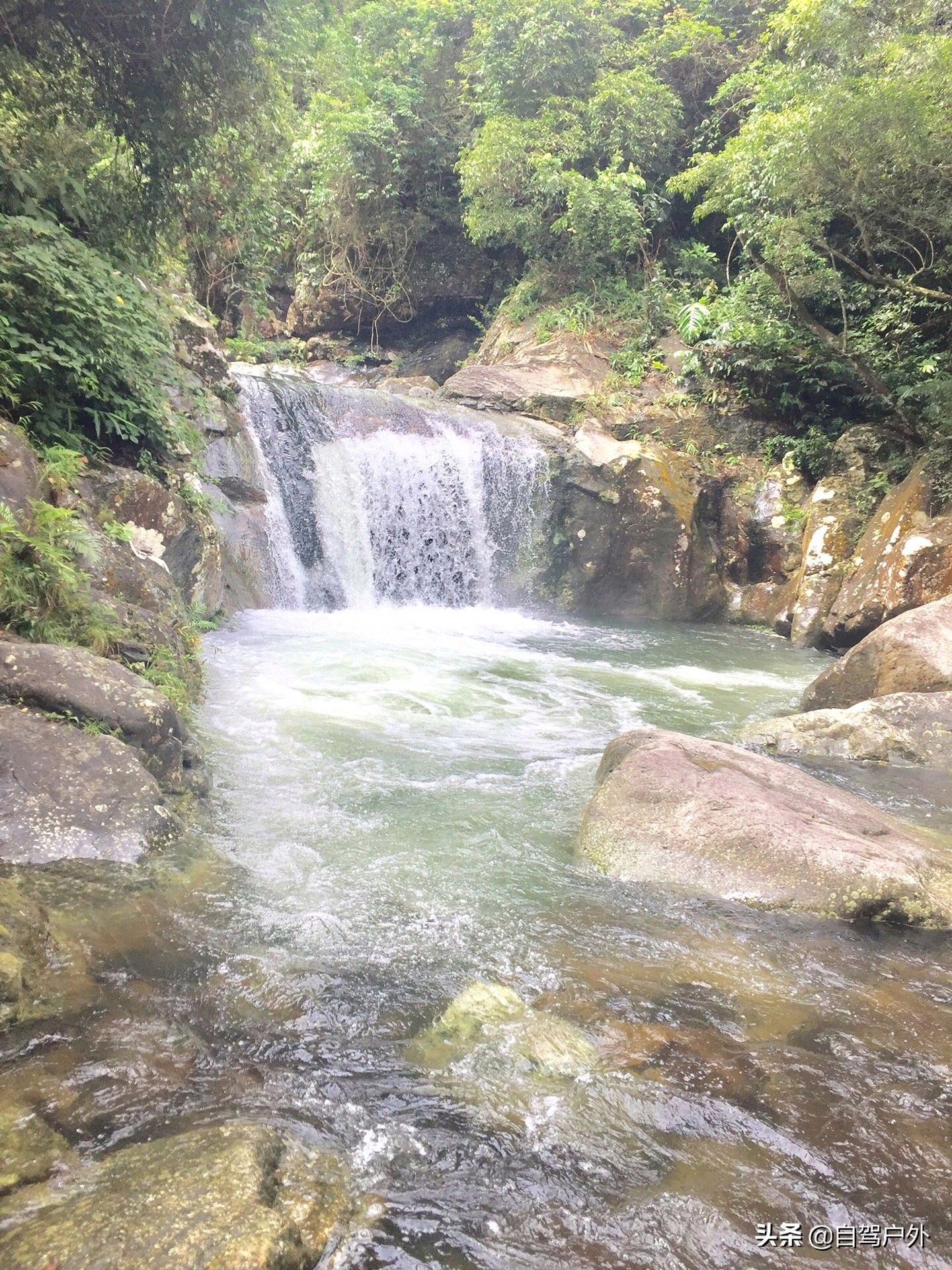 惠州明月山庄露营,罗浮山休闲竹林露营地