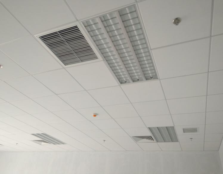 老鼠的习性视频,老鼠笼捕捉老鼠过程