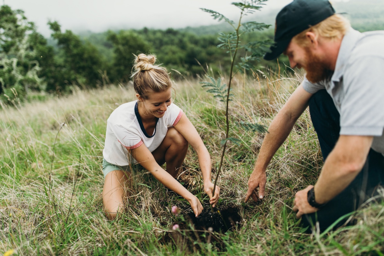 用夏威夷果壳的100种玩法,夏威夷新吃法