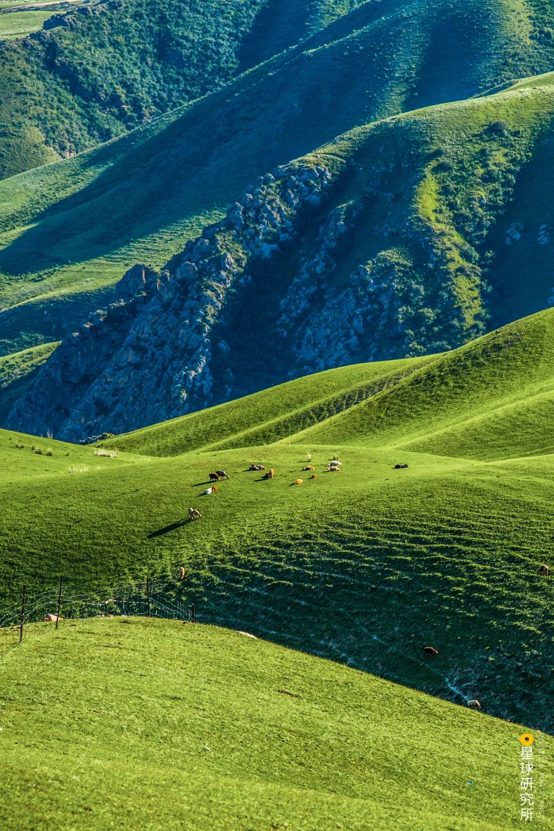 中国前十的自然风景,中国花岗岩风景