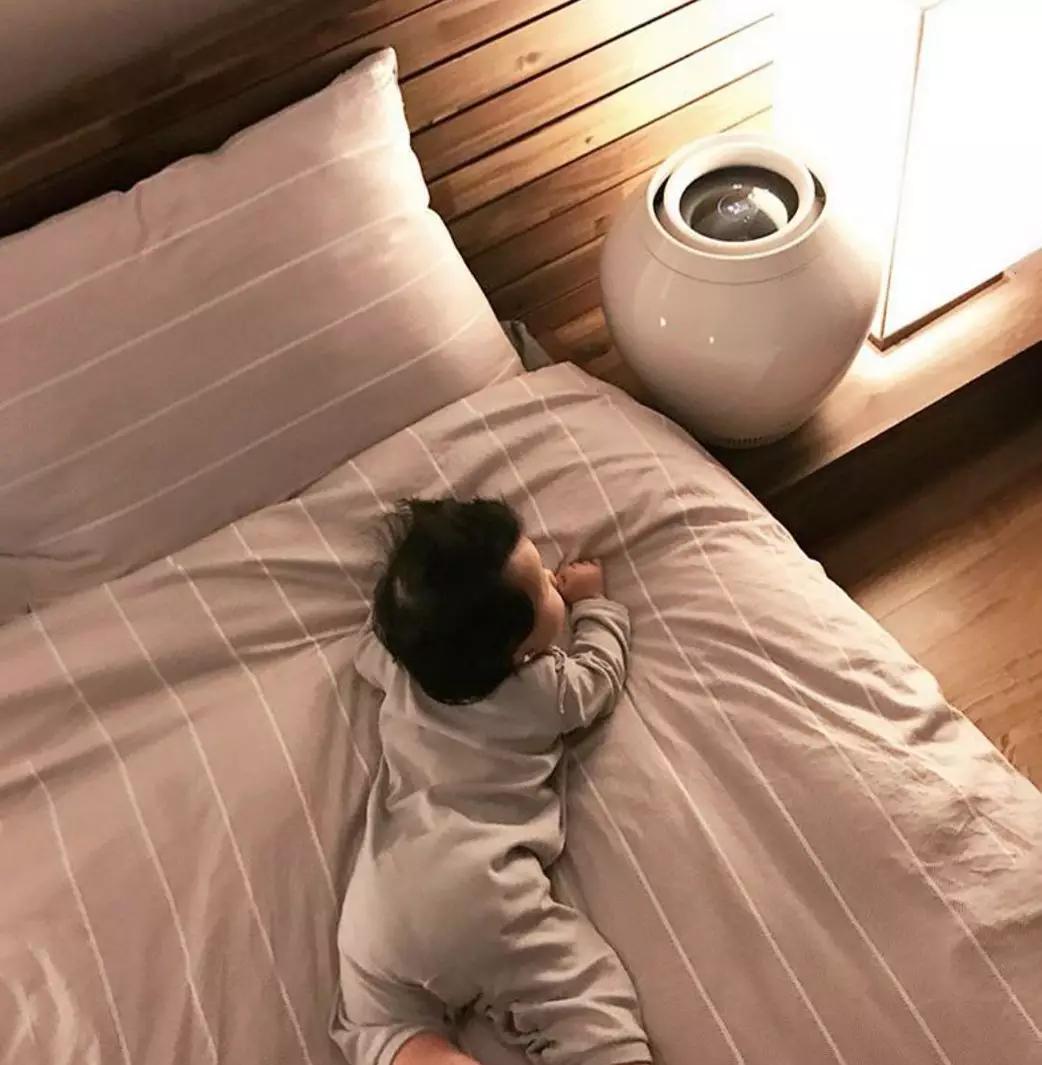 日本巴慕达东芝,日本巴慕达空气净化器好不好