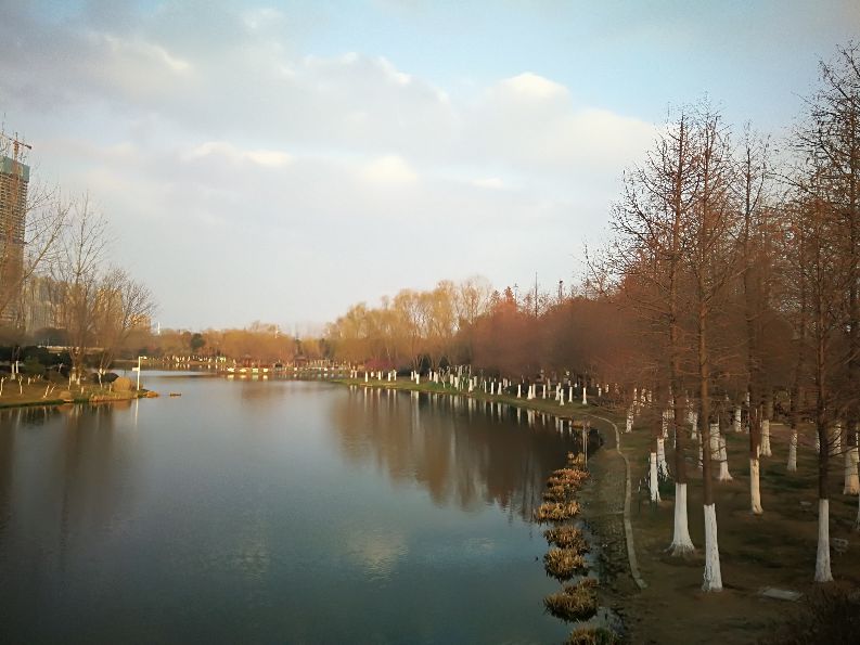 漫步河畔公园全景图,漫步公园美景