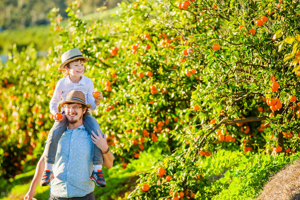 每天16小时，1周后哭着退出：关于网瘾，2000万父母都错了