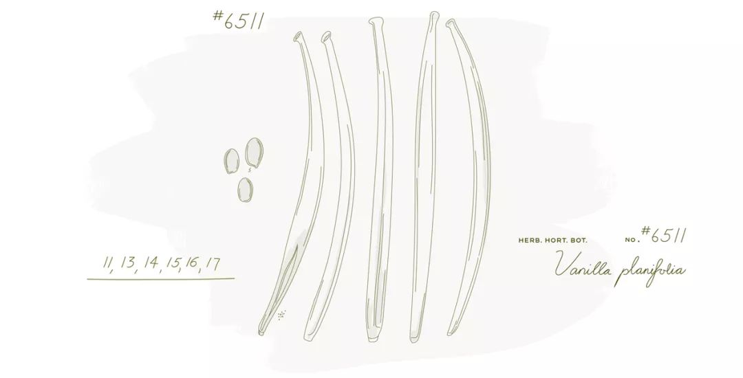 花西子推出奶油唇膏,花西子新产品研发