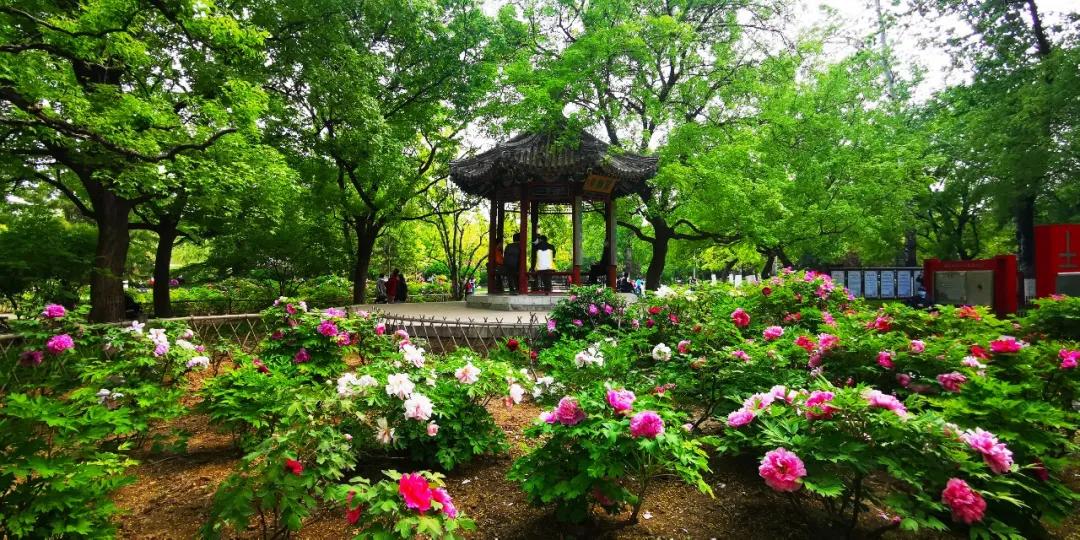 四月发生的事,东城发生的事