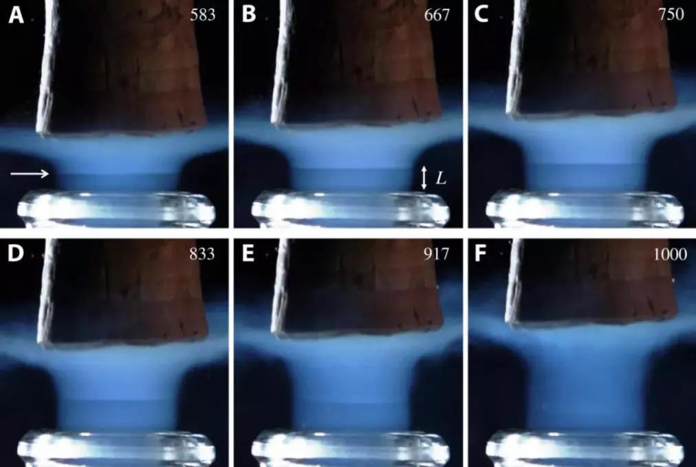 躲开老板隐蔽手机!这里是2019年最好玩的10个科技动图