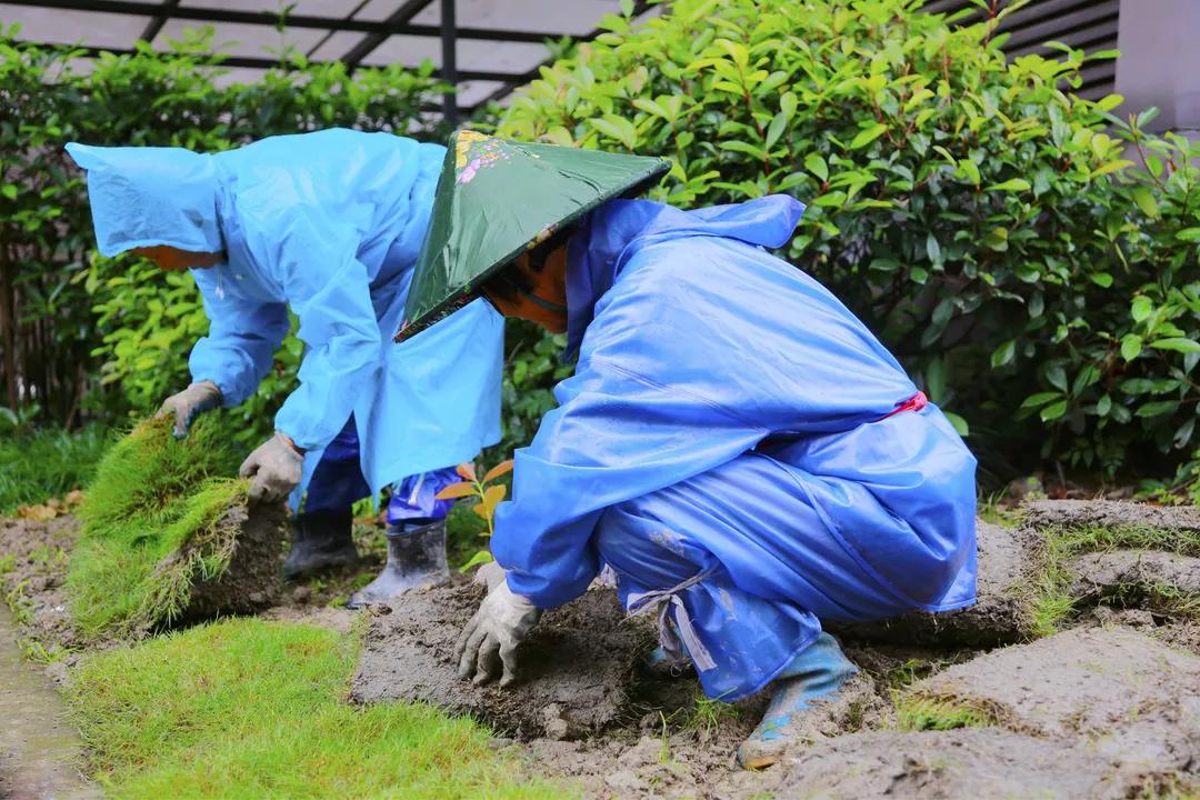 昆山绿地21城周边规划,昆山绿地第21城平面图