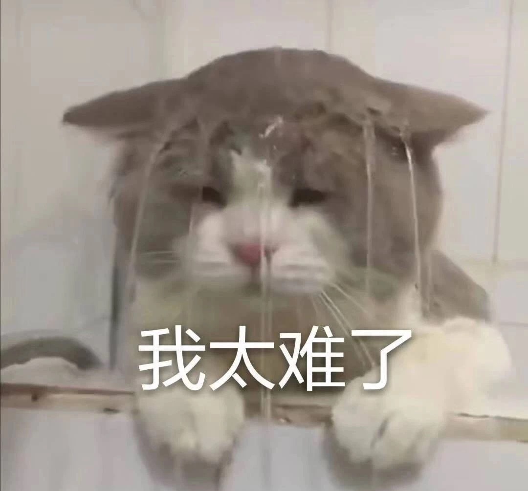 阿里国际站直通车推广技巧,天猫直通车推广技巧和方法