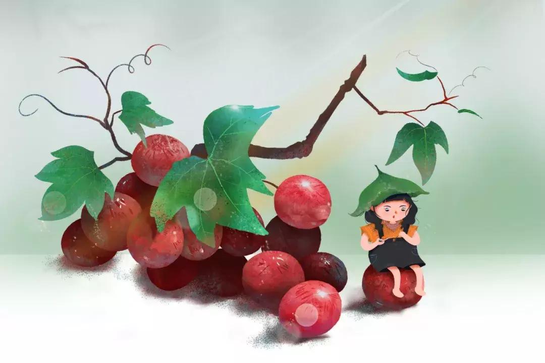 葡萄里含有哪些营养素,葡萄都有哪些营养与功效